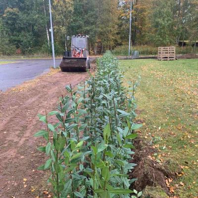 Heckplantering VSE AB